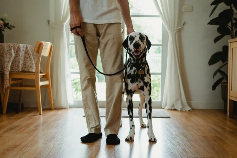 caller safety alerts issued