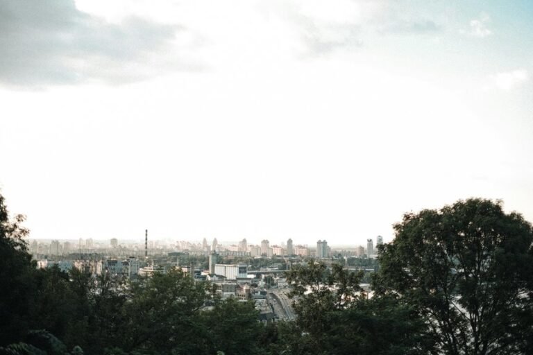 digital advantage dominance achieved